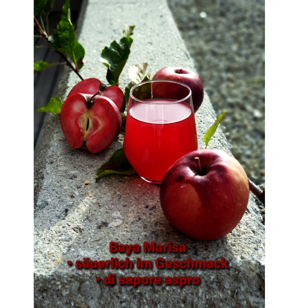 Bio-Apfelsaft sortenrein rot Baya Marisa 3l Beutel